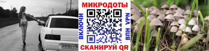 Купить где Элиста Псилоцибиновые грибы ЛСД